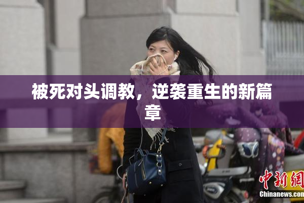 被死对头调教，逆袭重生的新篇章