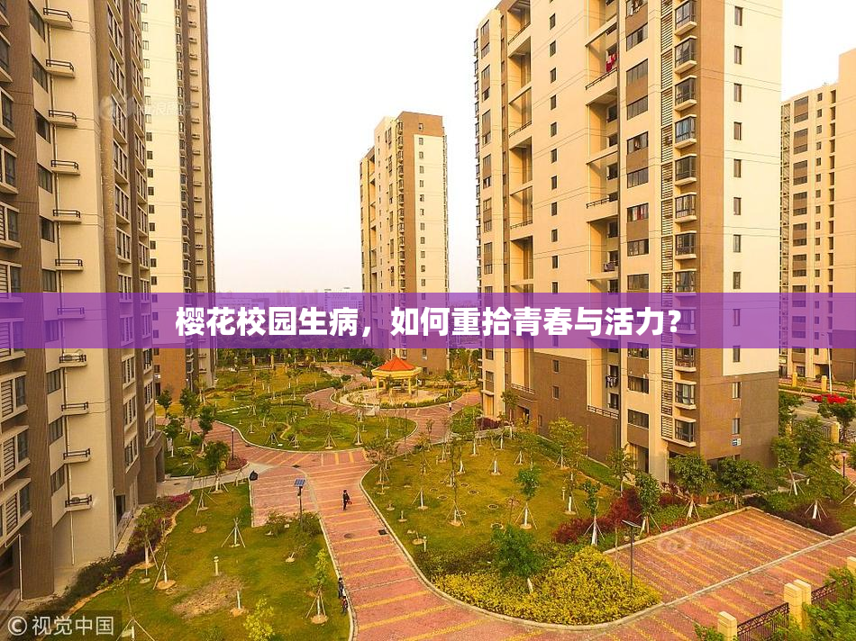 樱花校园生病，如何重拾青春与活力？