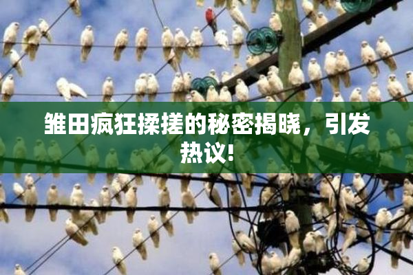 雏田疯狂揉搓的秘密揭晓，引发热议!